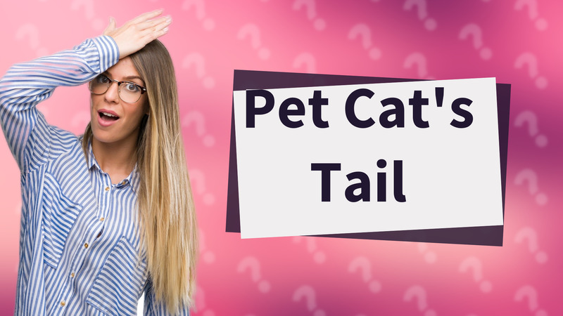 Pet Cat's Tail