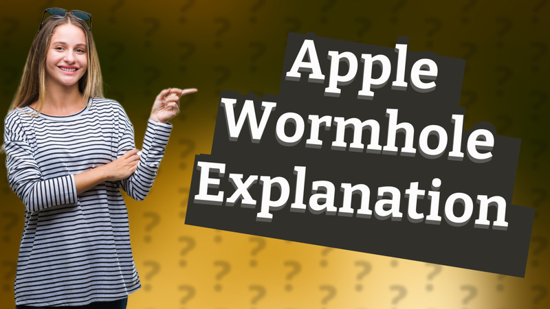 Apple Wormhole Explanation