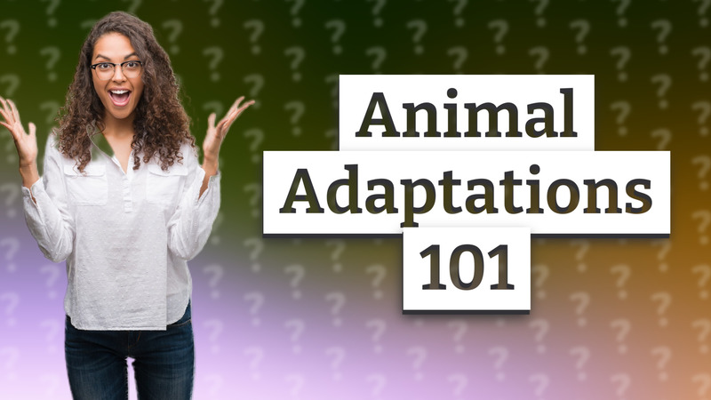 Animal Adaptations 101