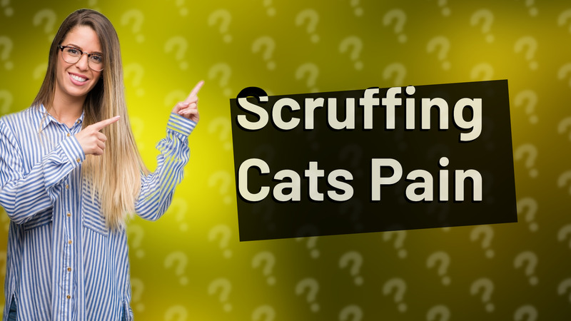 Scruffing Cats Pain