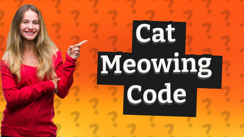 Cat Meowing Code