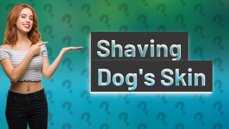 Shaving Dog's Skin