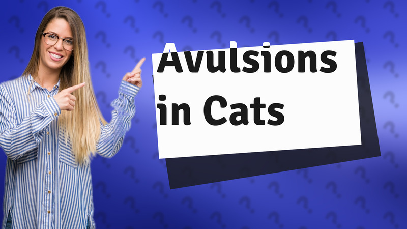 Avulsions in Cats