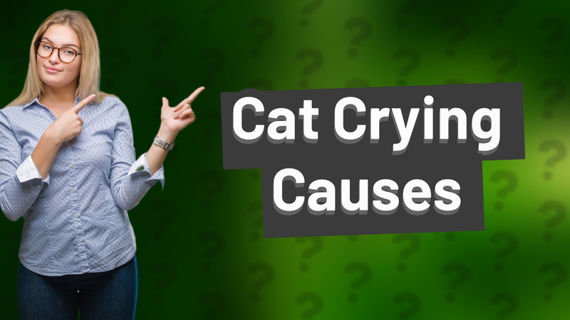 Cat Crying Causes