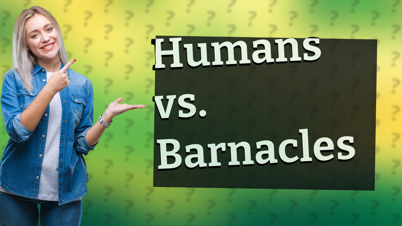 Humans vs. Barnacles