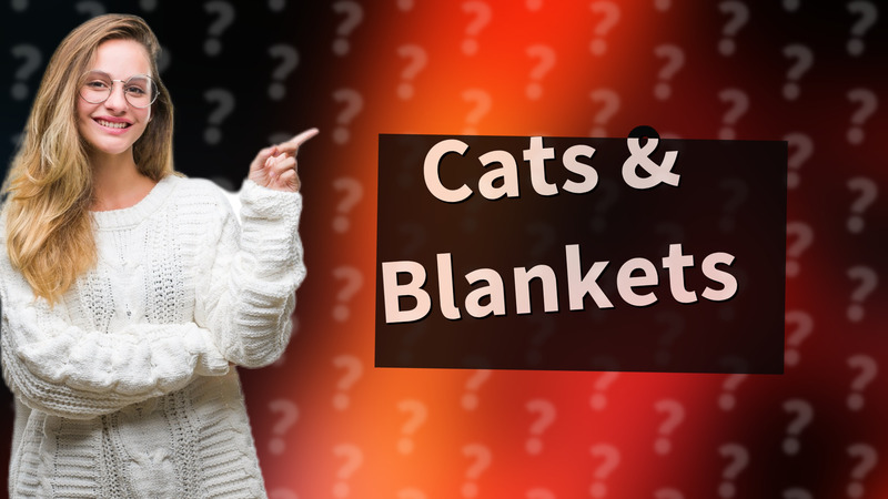 Cats & Blankets