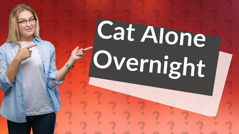 Cat Alone Overnight