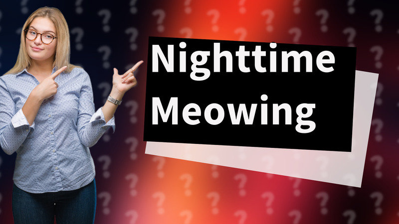 Nighttime Meowing
