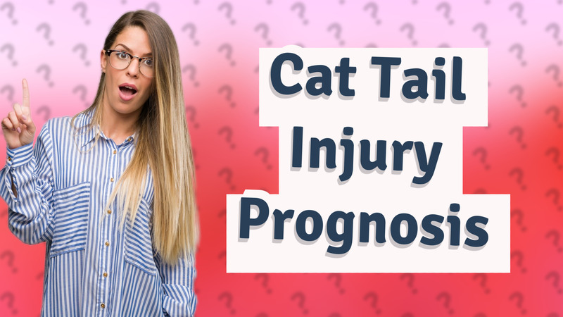 Cat Tail Injury Prognosis