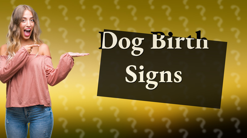 Dog Birth Signs
