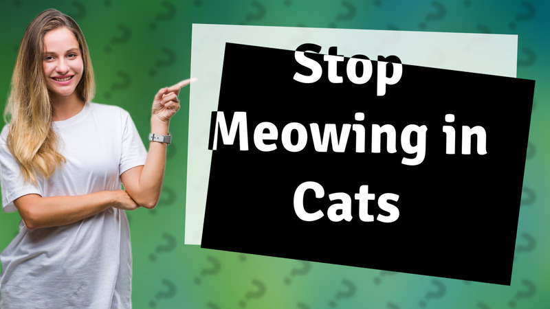 Stop Meowing in Cats