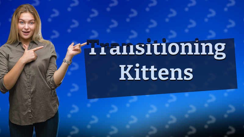 Transitioning Kittens