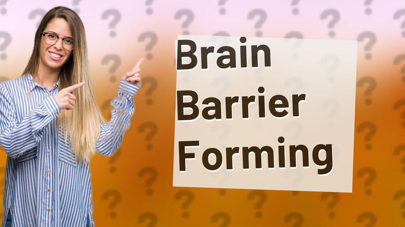 Brain Barrier Forming