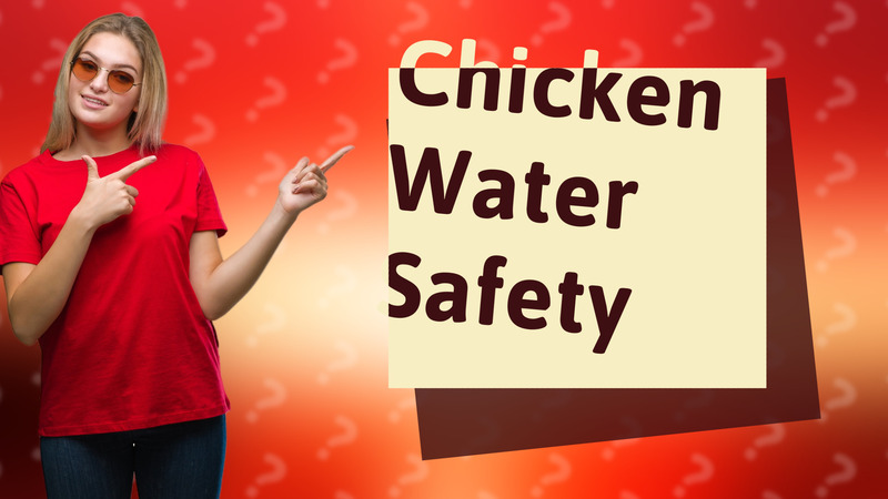 Chicken Water Safety