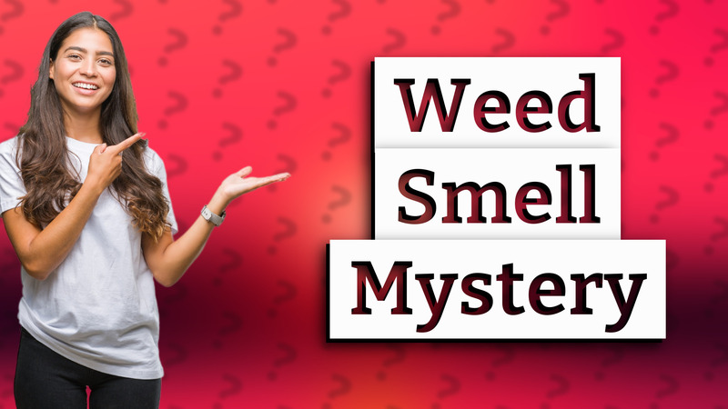 Weed Smell Mystery