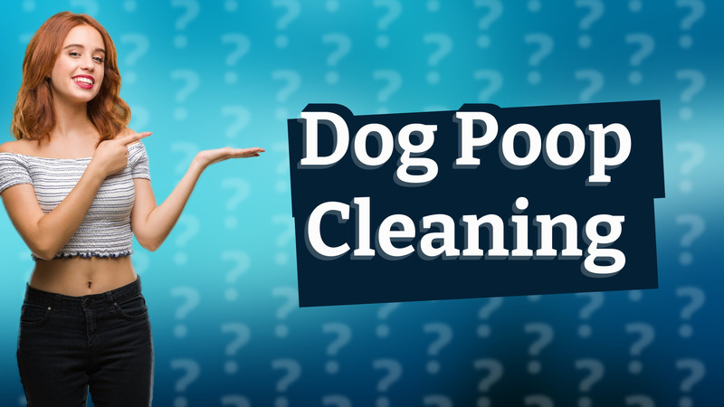 Dog Poop Cleaning