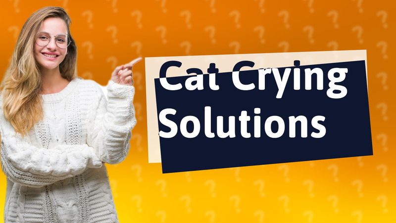 Cat Crying Solutions