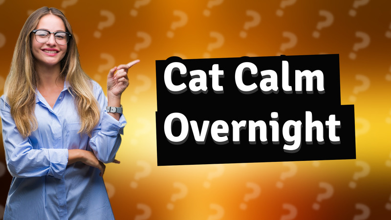Cat Calm Overnight
