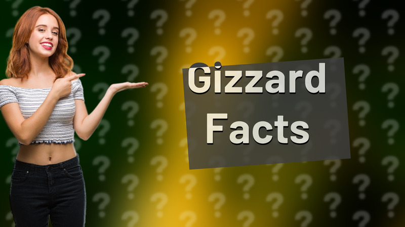 Gizzard Facts
