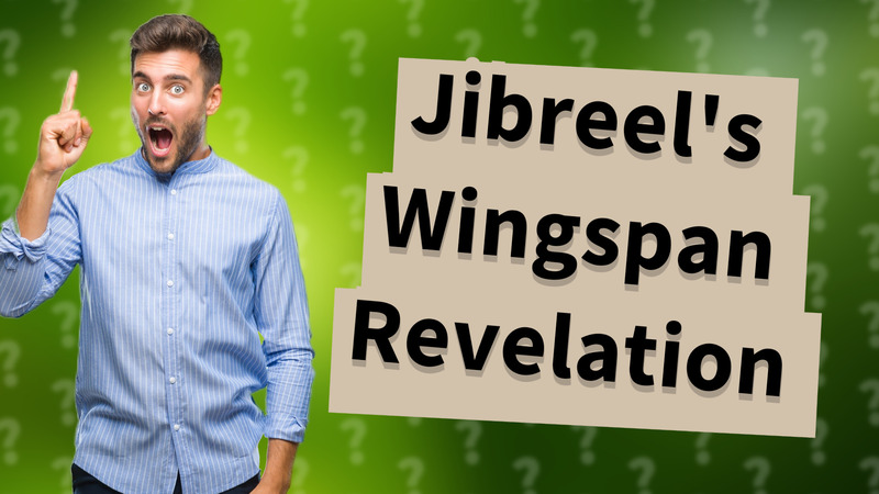 Jibreel's Wingspan Revelation