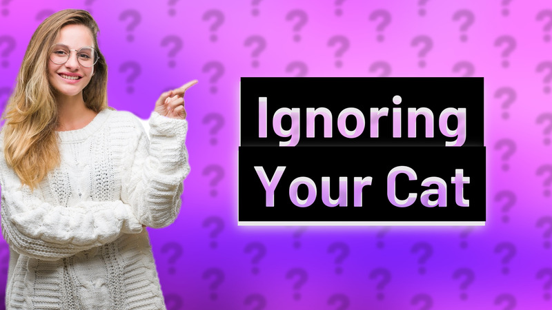 Ignoring Your Cat