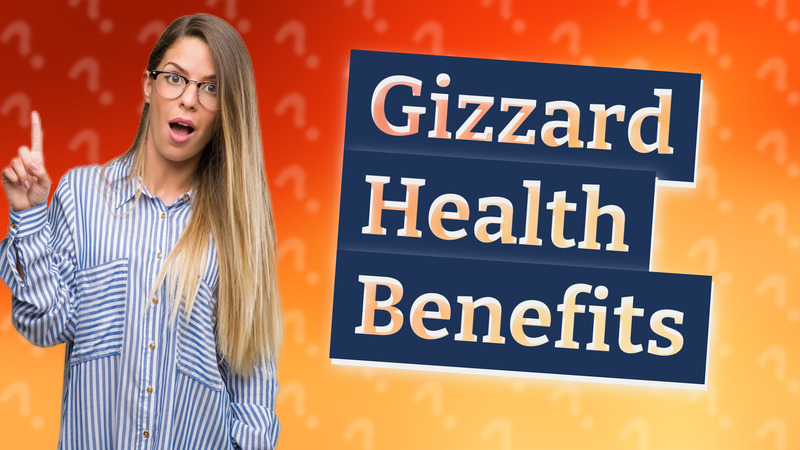 Gizzard Health Benefits