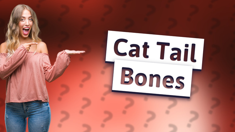 Cat Tail Bones