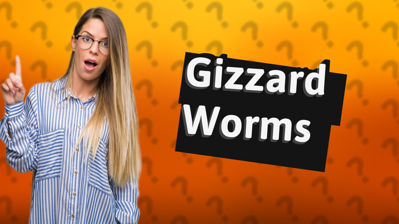 Gizzard Worms