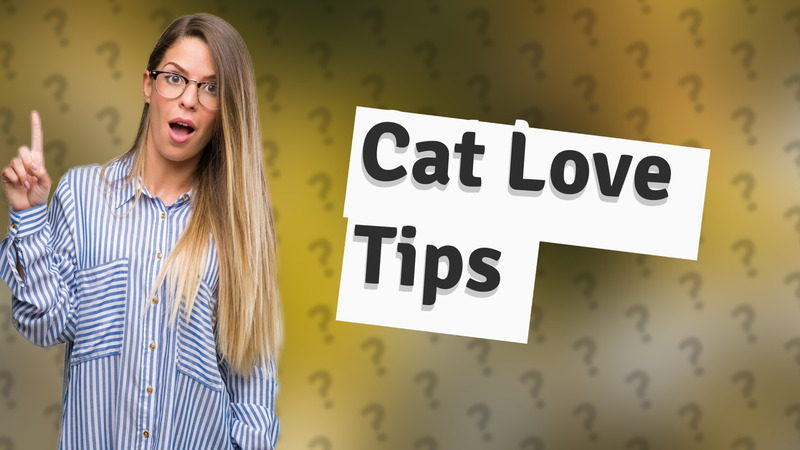 Cat Love Tips