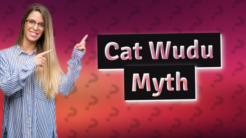 Cat Wudu Myth