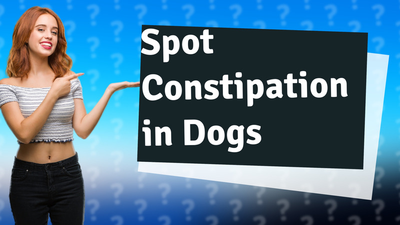 Spot Constipation in Dogs
