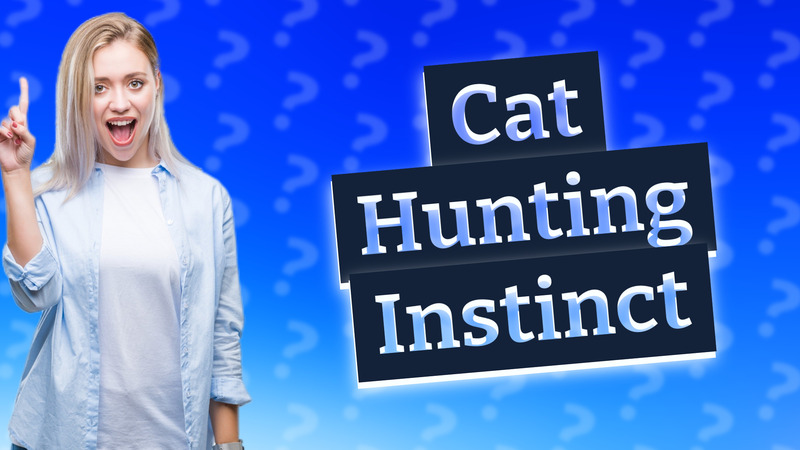 Cat Hunting Instinct