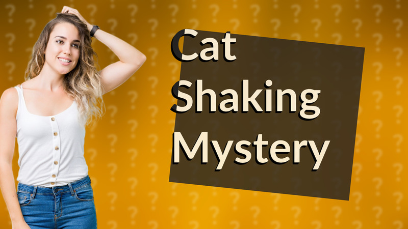Cat Shaking Mystery