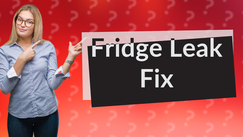 Fridge Leak Fix