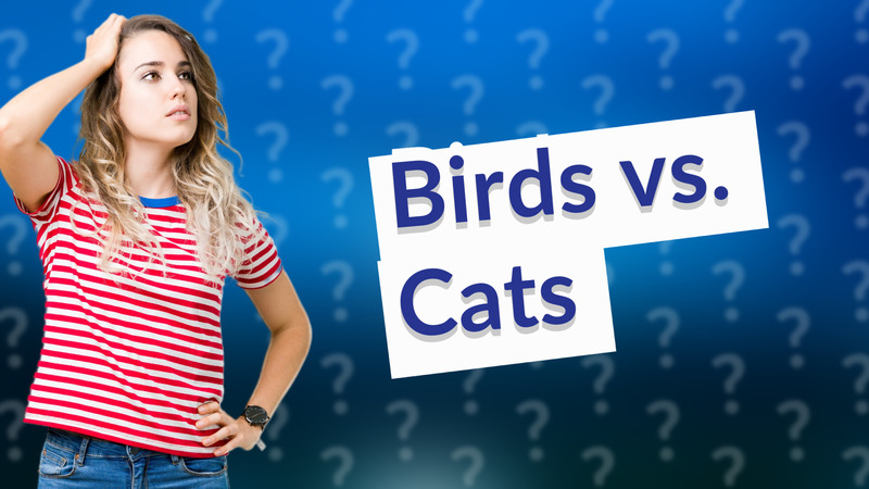 Birds vs. Cats