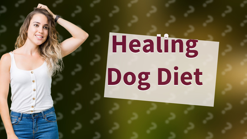Healing Dog Diet