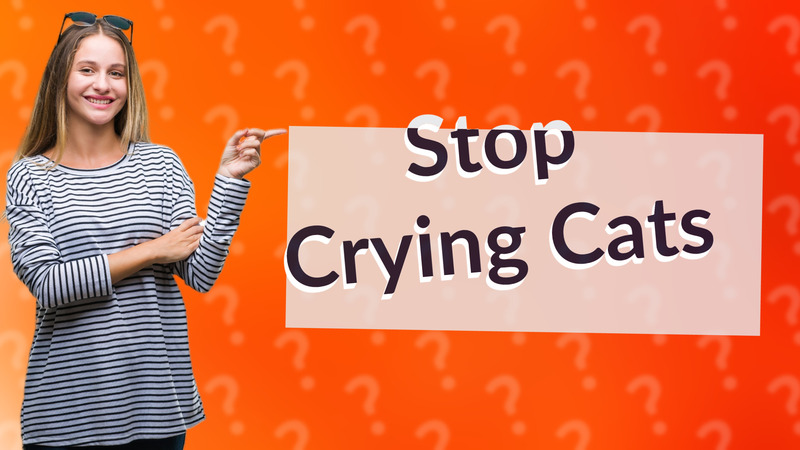 Stop Crying Cats