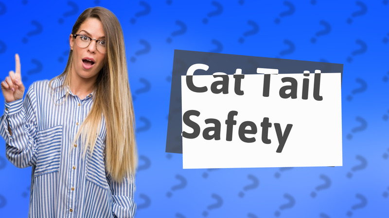 Cat Tail Safety