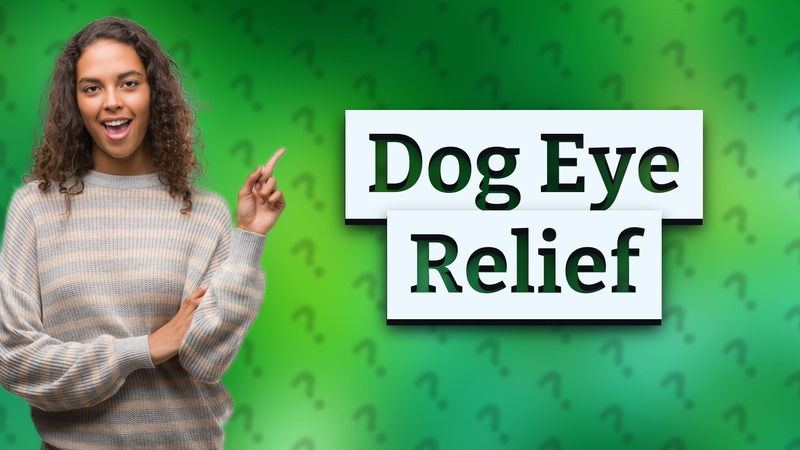 Dog Eye Relief