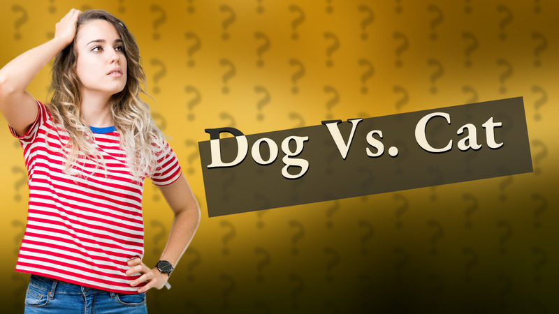 Dog Vs. Cat