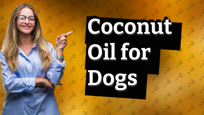 Coconut Oil for Dogs