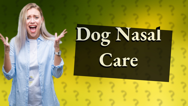 Dog Nasal Care