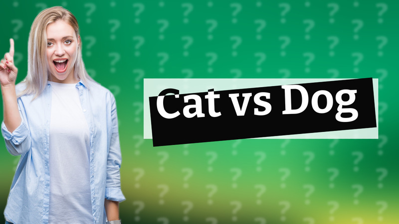 Cat vs Dog