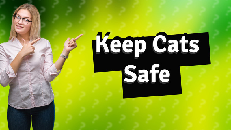 Keep Cats Safe