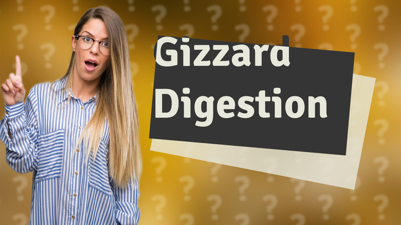 Gizzard Digestion
