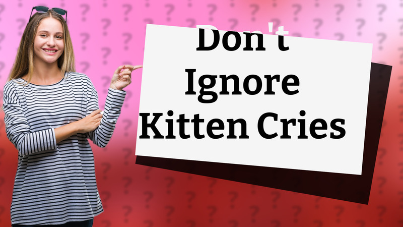 Don't Ignore Kitten Cries