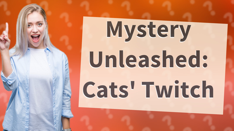 Mystery Unleashed: Cats' Twitch