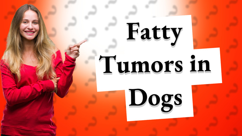 Fatty Tumors in Dogs