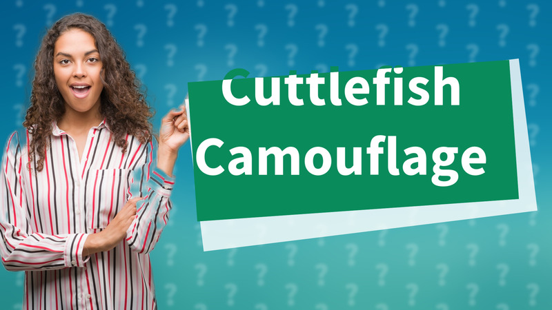 Cuttlefish Camouflage
