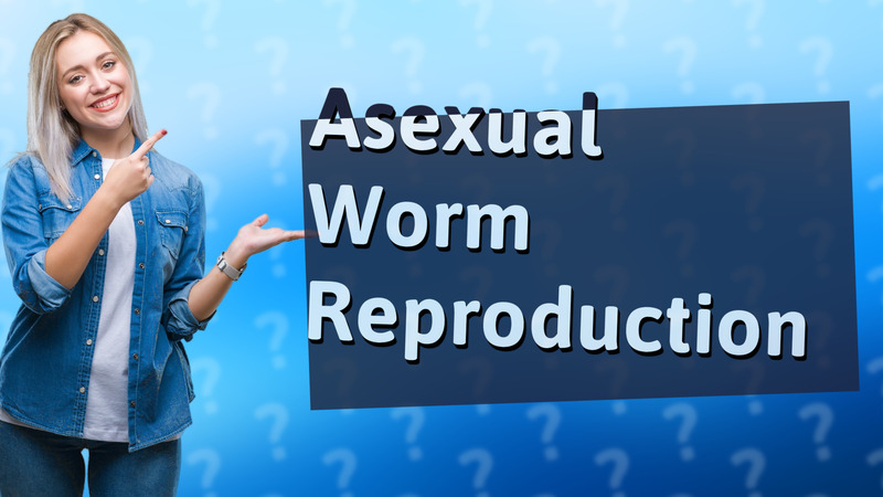 Asexual Worm Reproduction